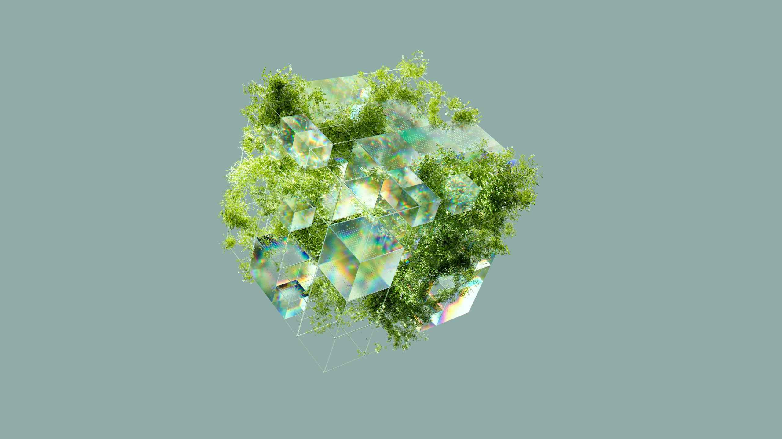 Exploring the interconnection of Climate, Tech, and Innovation