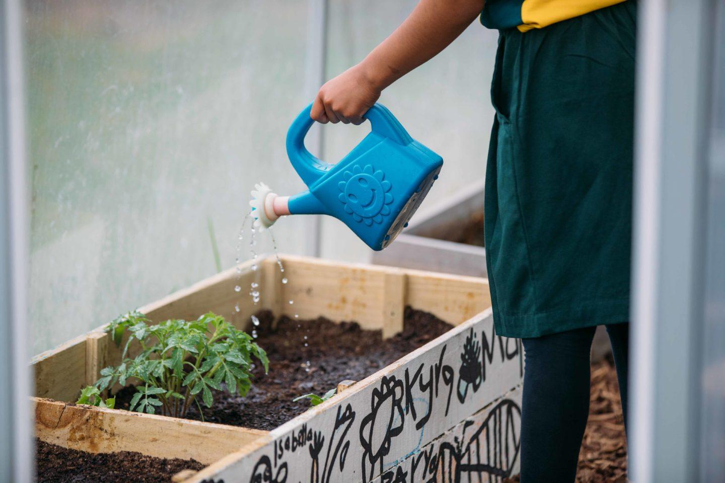 A student is watering a plant in a planter box.